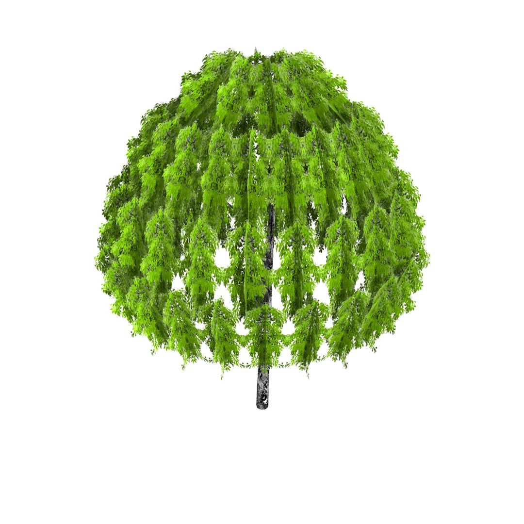tree s https://p.turbosquid.com/ts-thumb/o3/9cQ9AG/YIhoOuF4/4lowpolytree3/jpg/1346286552/1920x1080/fit_q87/56df45952754036f1abc2ea9fb5bde2147170b41/4lowpolytree3.jpg
