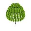 Low Poly Tree 4
