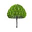 Low Poly Tree 4