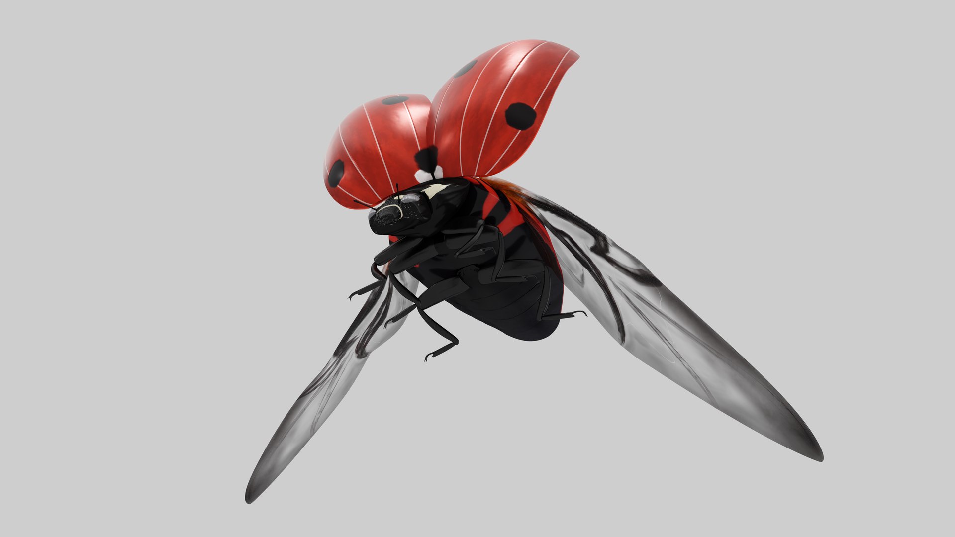 3D LadyBug model - TurboSquid 1794428