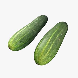 cucumber v-ray 3D model