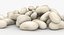 3D realistic white kidney bean
