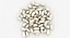 3D realistic white kidney bean