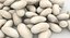 3D realistic white kidney bean