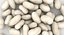 3D realistic white kidney bean