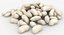 3D realistic white kidney bean