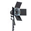 Barn Door Studio Light