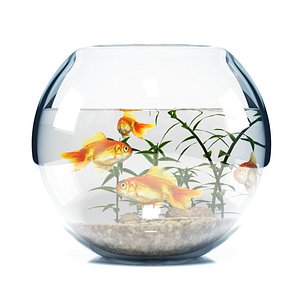 Aquarium bowl