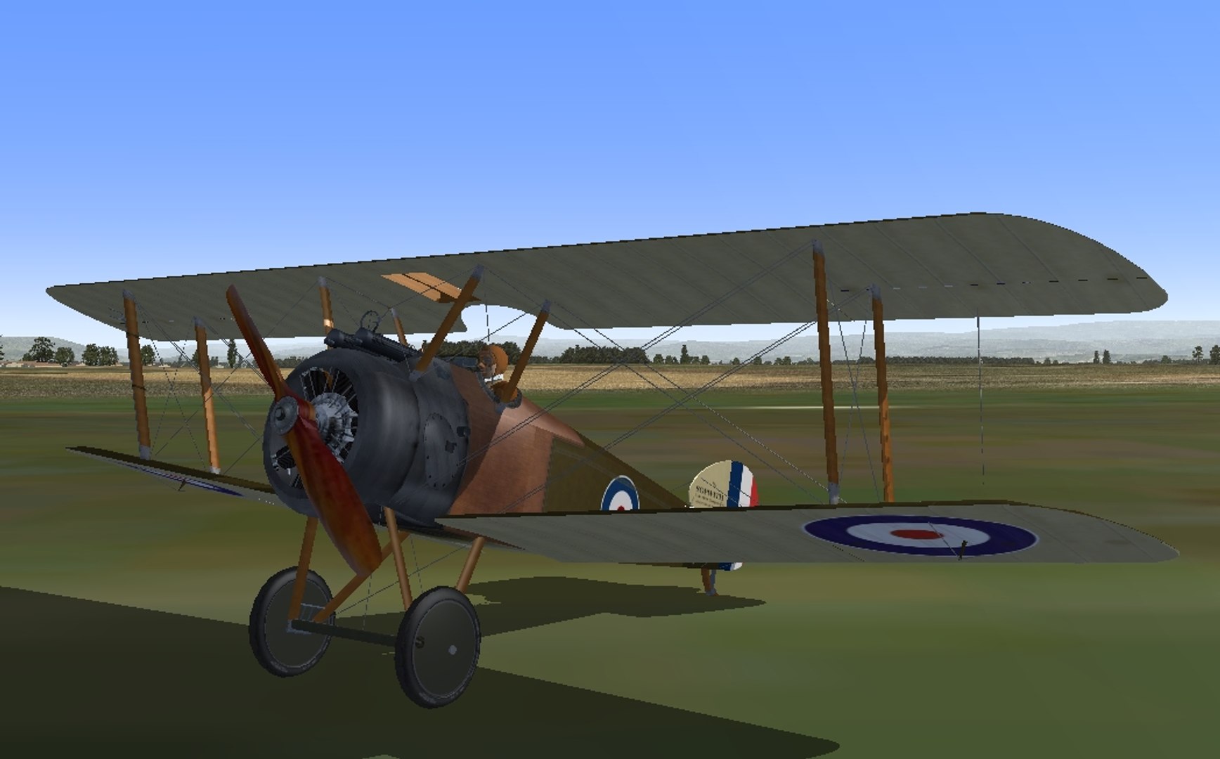 Sopwith Camel D Model Turbosquid