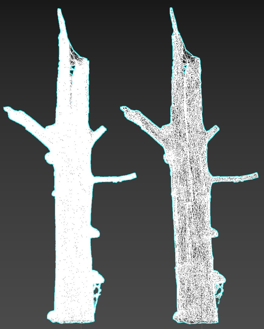 3D forest asset hd model https://p.turbosquid.com/ts-thumb/o3/thvAwP/ksqgNm6d/77788/jpg/1603905170/1920x1080/fit_q87/18b3a9caa1241420fe712a63ac3a29a92207505d/77788.jpg