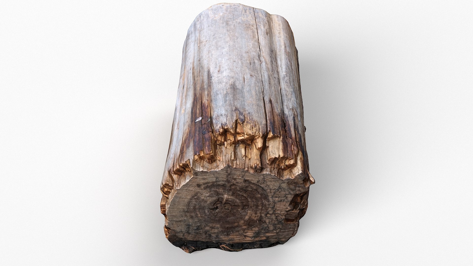 3D tree trunk stump model https://p.turbosquid.com/ts-thumb/o4/2Zz7iJ/uV/treestump23_13/jpg/1613983551/1920x1080/fit_q87/b0696d81d27630a5b41a53eefdaaa486cd0d63f6/treestump23_13.jpg