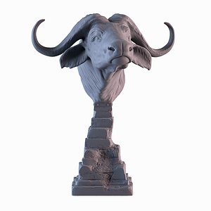 Head African Buffalo