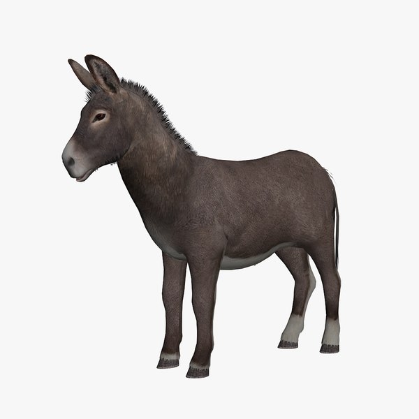 animated donkey 3D