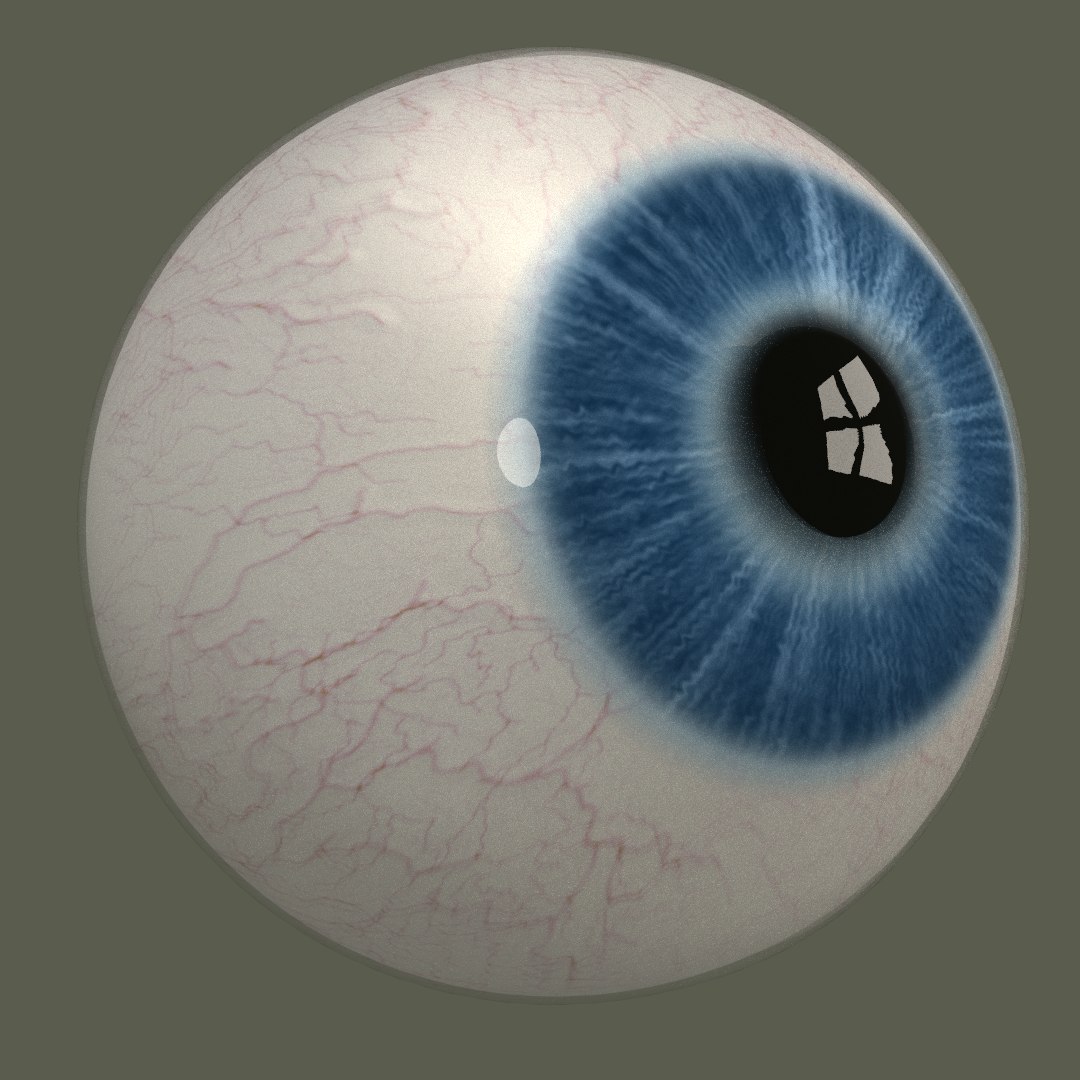 3d Model Human Eye