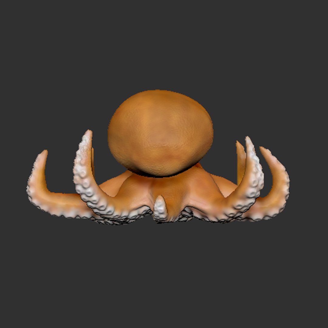 Octopus Polygons Zbrush Model - TurboSquid 1194303