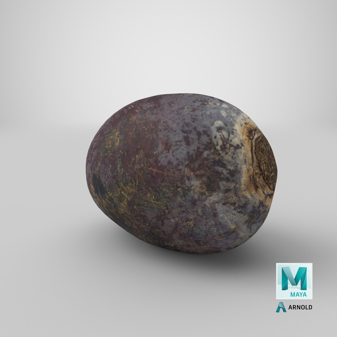 beetroot clean 01 model https://p.turbosquid.com/ts-thumb/o4/PfMQ6C/761M8PeR/stemcell_maya_arnold_render/png/1592574122/1920x1080/fit_q87/7a8be569cf1987de2e6dd8d00d815644752a969a/stemcell_maya_arnold_render.jpg