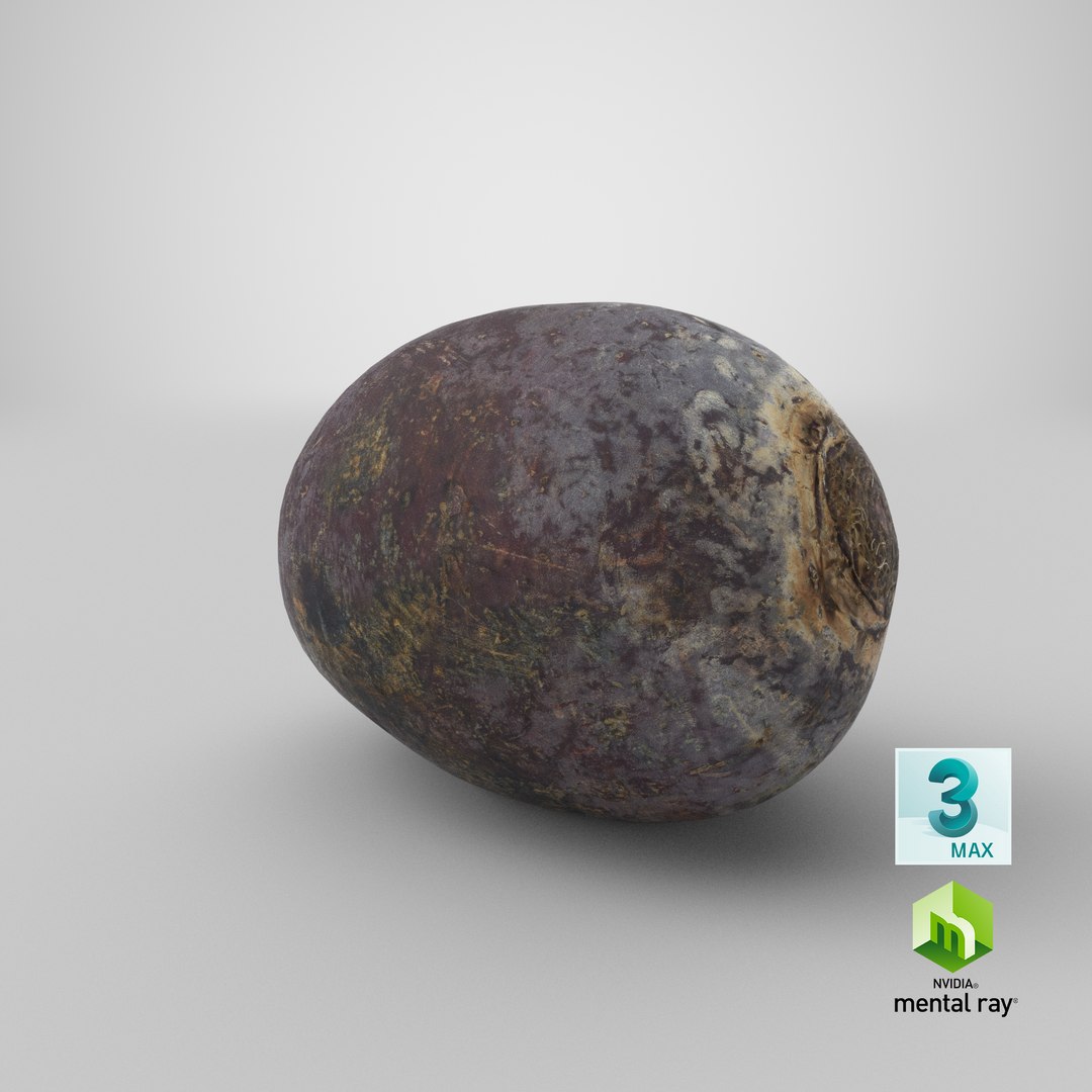 beetroot clean 01 model https://p.turbosquid.com/ts-thumb/o4/PfMQ6C/bqkAeAZZ/stemcell_max_mental_ray_render/png/1592574114/1920x1080/fit_q87/3ccbd8697f5a4bec0026ad5be9d7de1bf261f02d/stemcell_max_mental_ray_render.jpg