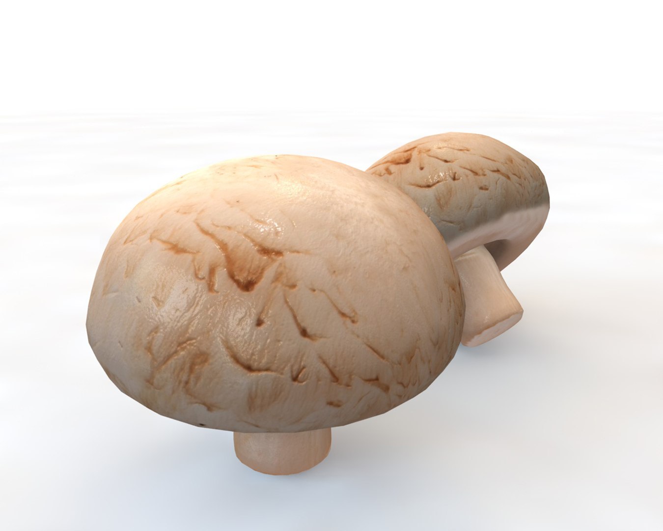 Mushroom Model - TurboSquid 1544549