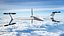 UAV de reconnaissance Quantix