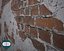 s wall repeatable