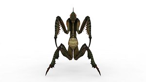 3D Alien Mantis
