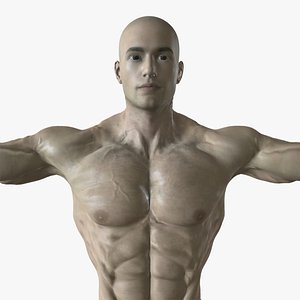 3D model Gym Bro - Giga Chad- Muscular man fitness crossfit VR