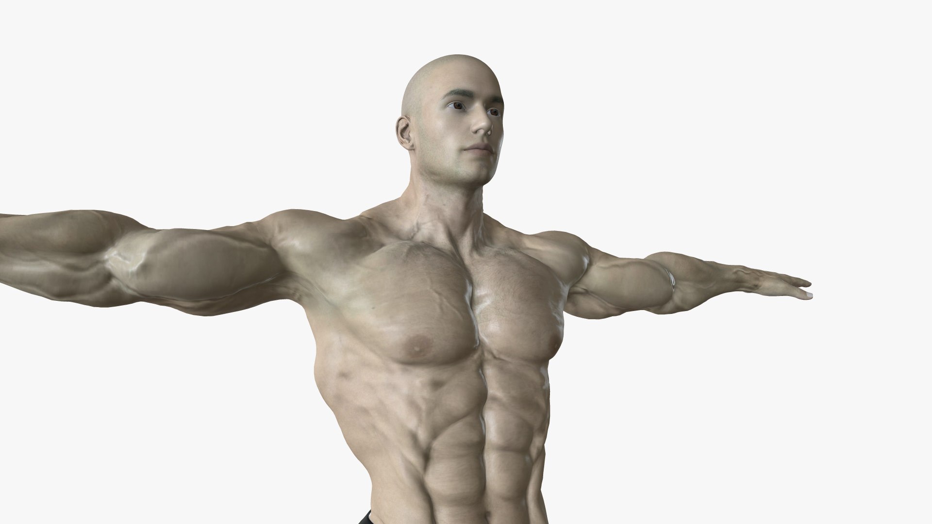 HMN-001 Rigged Human 3D Model - TurboSquid 1986452