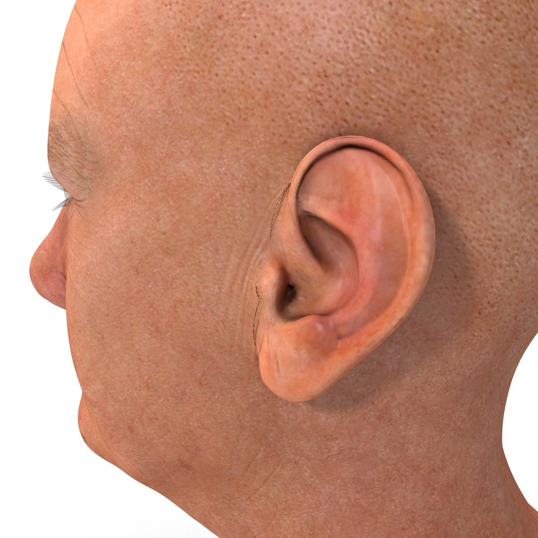 3d model https://p.turbosquid.com/ts-thumb/o4/jffiEm/Bb3BAHAX/elderlywomanhead_16/jpg/1405537765/1920x1080/fit_q87/134c543c30d0af6611e6e2e98e64a3d39f54cdb5/elderlywomanhead_16.jpg