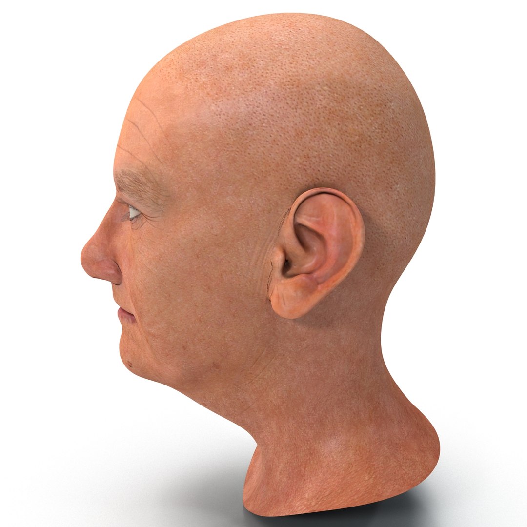 3d model https://p.turbosquid.com/ts-thumb/o4/jffiEm/ZJq5c2nY/elderlywomanhead_13/jpg/1405537790/1920x1080/fit_q87/43d3c449445a1b3cd62f11492282a86a22db3808/elderlywomanhead_13.jpg