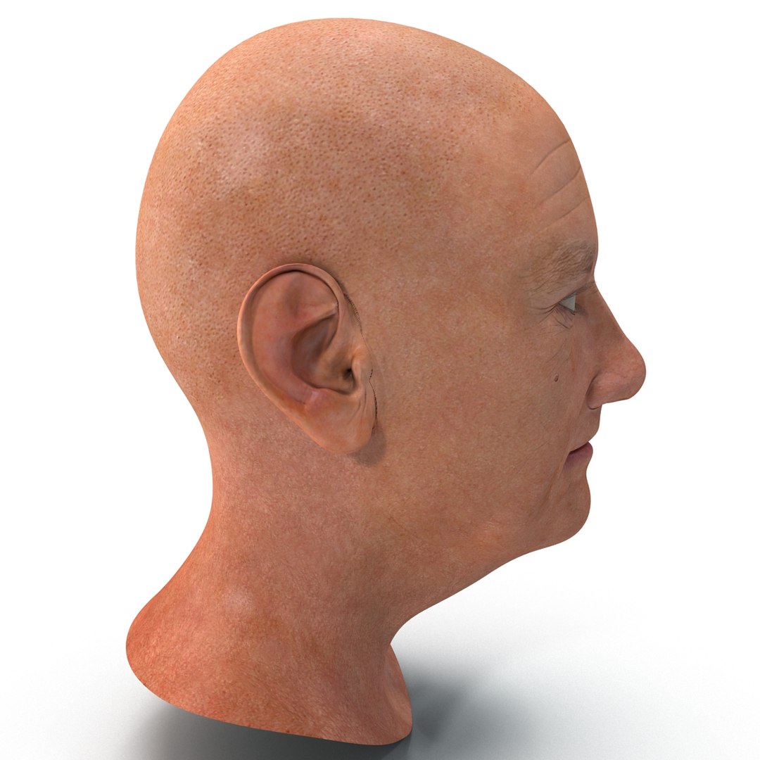 3d model https://p.turbosquid.com/ts-thumb/o4/jffiEm/dklK7Qgm/elderlywomanhead_10/jpg/1405537803/1920x1080/fit_q87/4c64f54cb069d13af47c9259736be74c9f82be5d/elderlywomanhead_10.jpg
