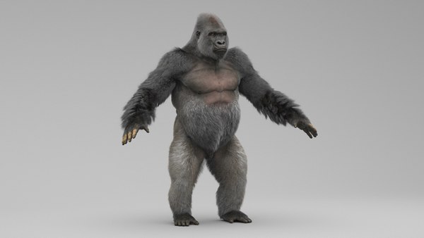 ゴリラ3Dモデル - TurboSquid 1697650