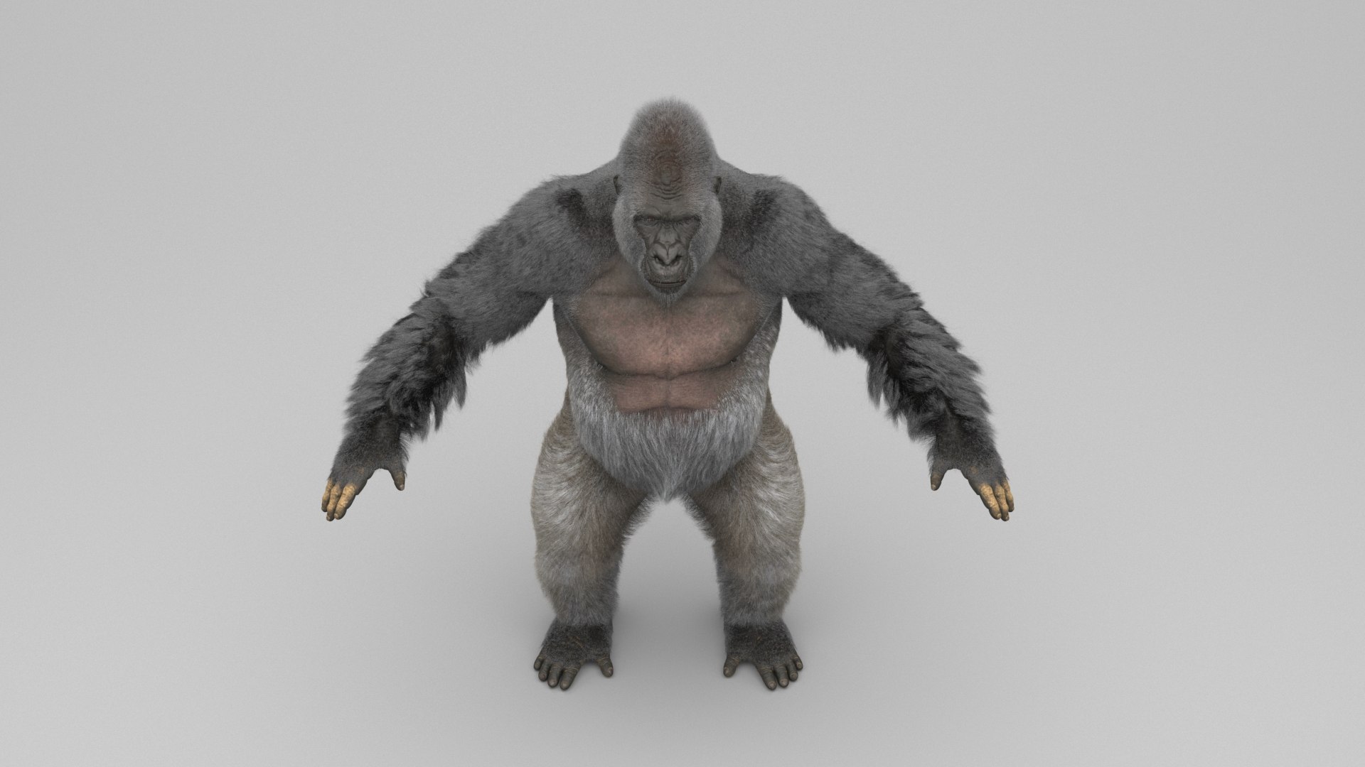 3D Gorilla Fur Objects Model - TurboSquid 1697650