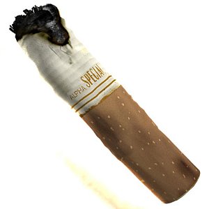 Cigarette Butt