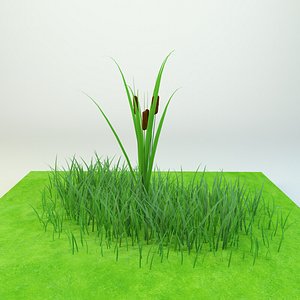 Cattail Low-poly 3D model