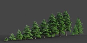 3D XfrogPlants Himalayan Cedar - Cedrus Deodara