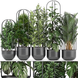 ornamental plants exotic model