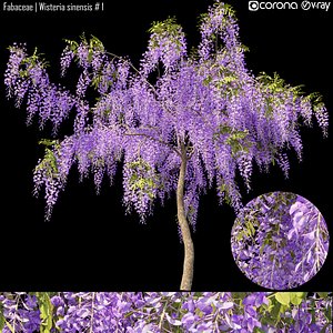 Jess Glynne - Wisteria