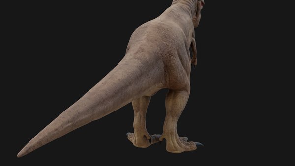 Tyrannosaurus Rex 3D 모델 - TurboSquid 2001756