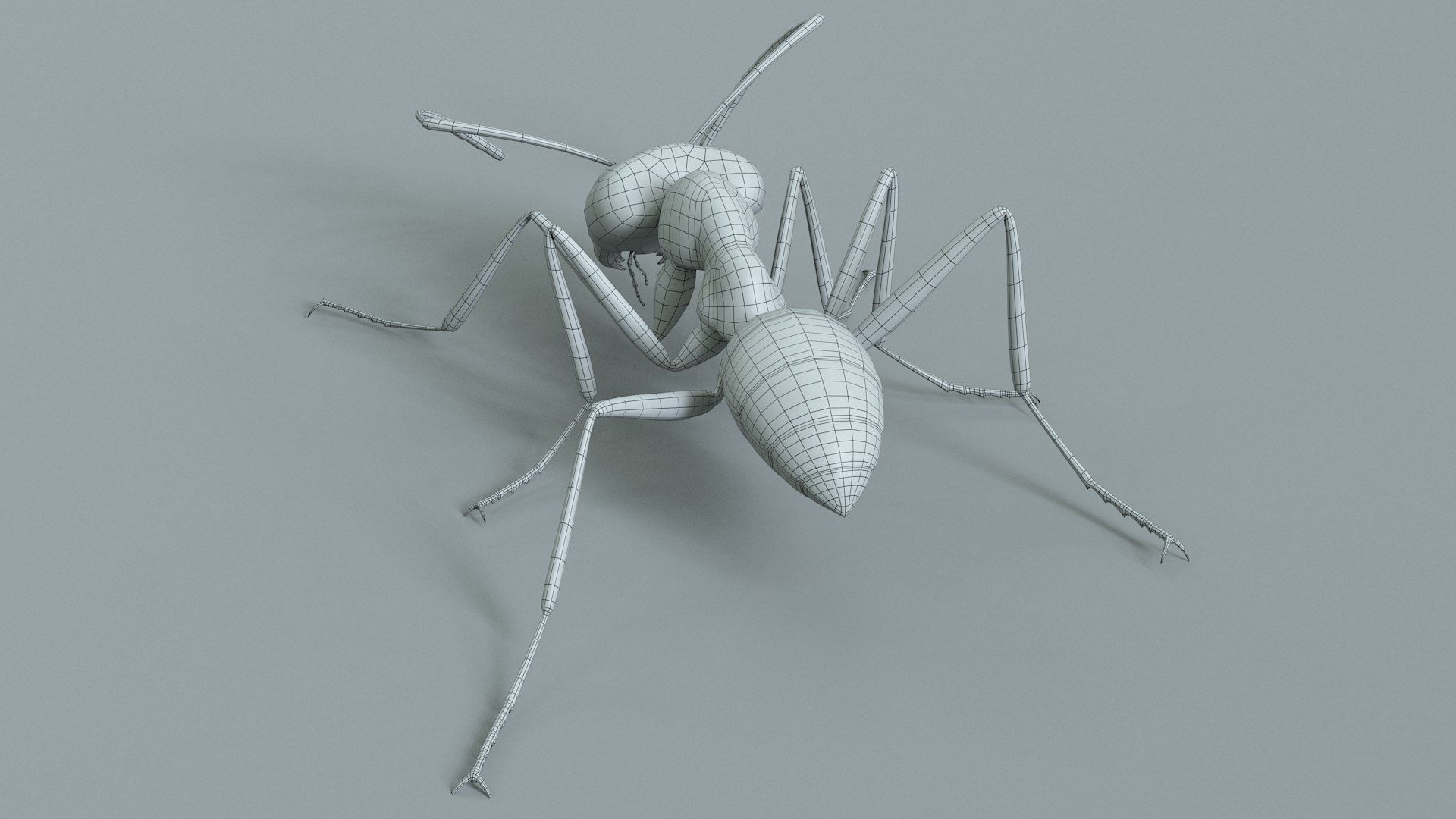 3D model Black Ant Rigged https://p.turbosquid.com/ts-thumb/o5/Ipq2fj/2c/ant_black_rigged_29/jpg/1714650786/1920x1080/fit_q87/40a4ed5aab9fd92ee89d046dc748b1e0eaf45e38/ant_black_rigged_29.jpg