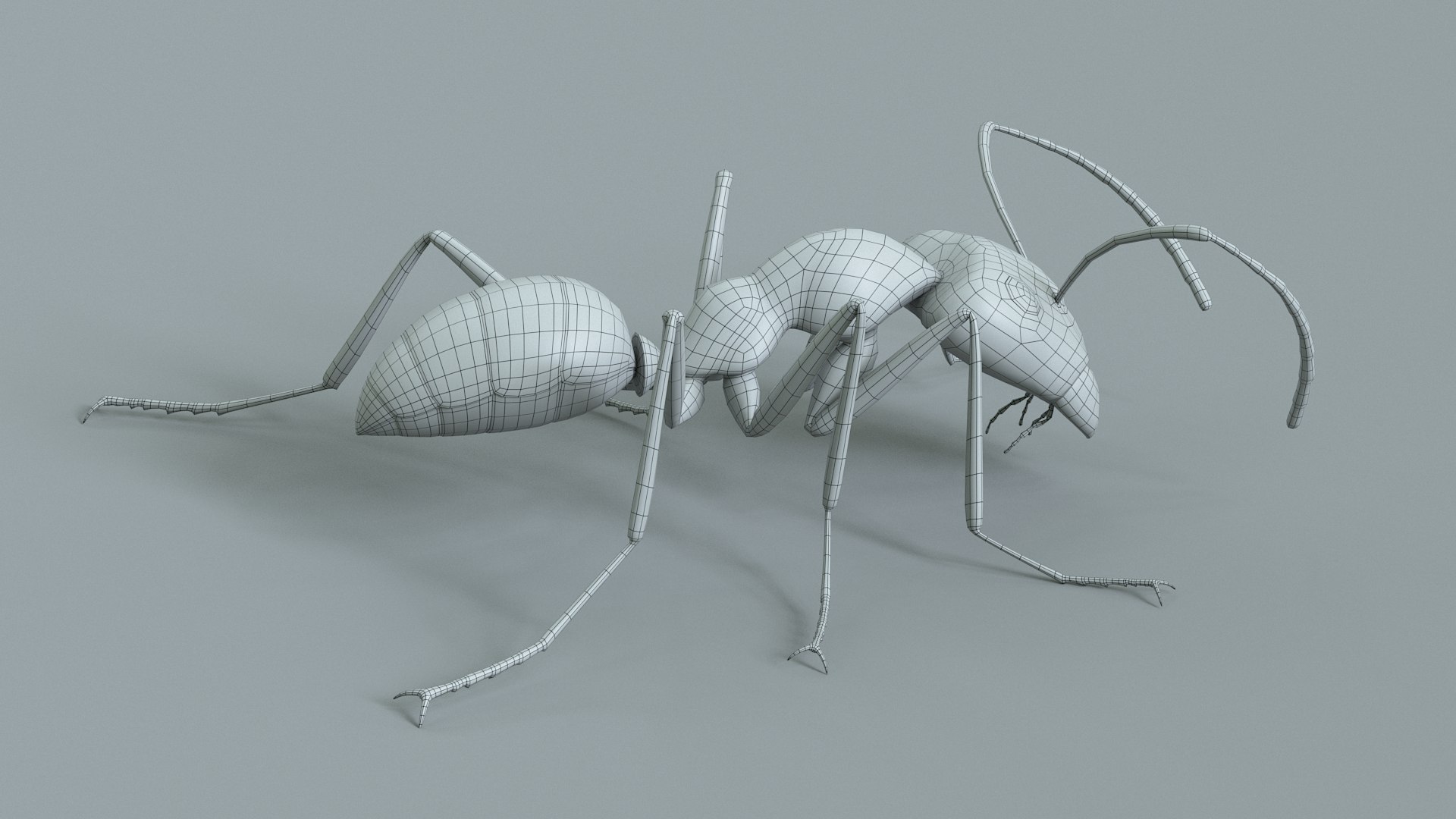 3D model Black Ant Rigged https://p.turbosquid.com/ts-thumb/o5/Ipq2fj/vB/ant_black_rigged_27/jpg/1714650782/1920x1080/fit_q87/ea68c4d7ba7c48584de22af3f20cce37bd50355f/ant_black_rigged_27.jpg