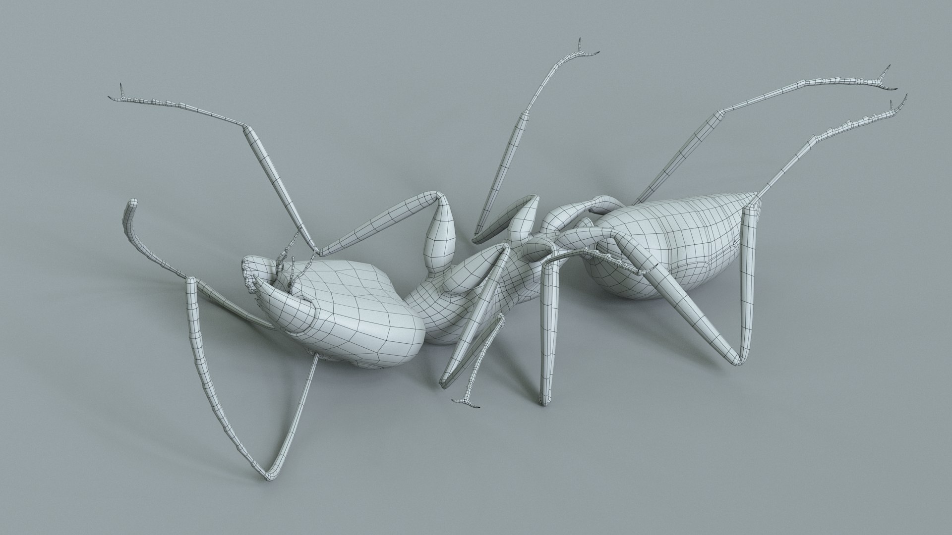 3D model Black Ant Rigged https://p.turbosquid.com/ts-thumb/o5/Ipq2fj/wI/ant_black_rigged_35/jpg/1714650794/1920x1080/fit_q87/6a53bb8dcc90c1fee2c73c4f07463728cff182fa/ant_black_rigged_35.jpg