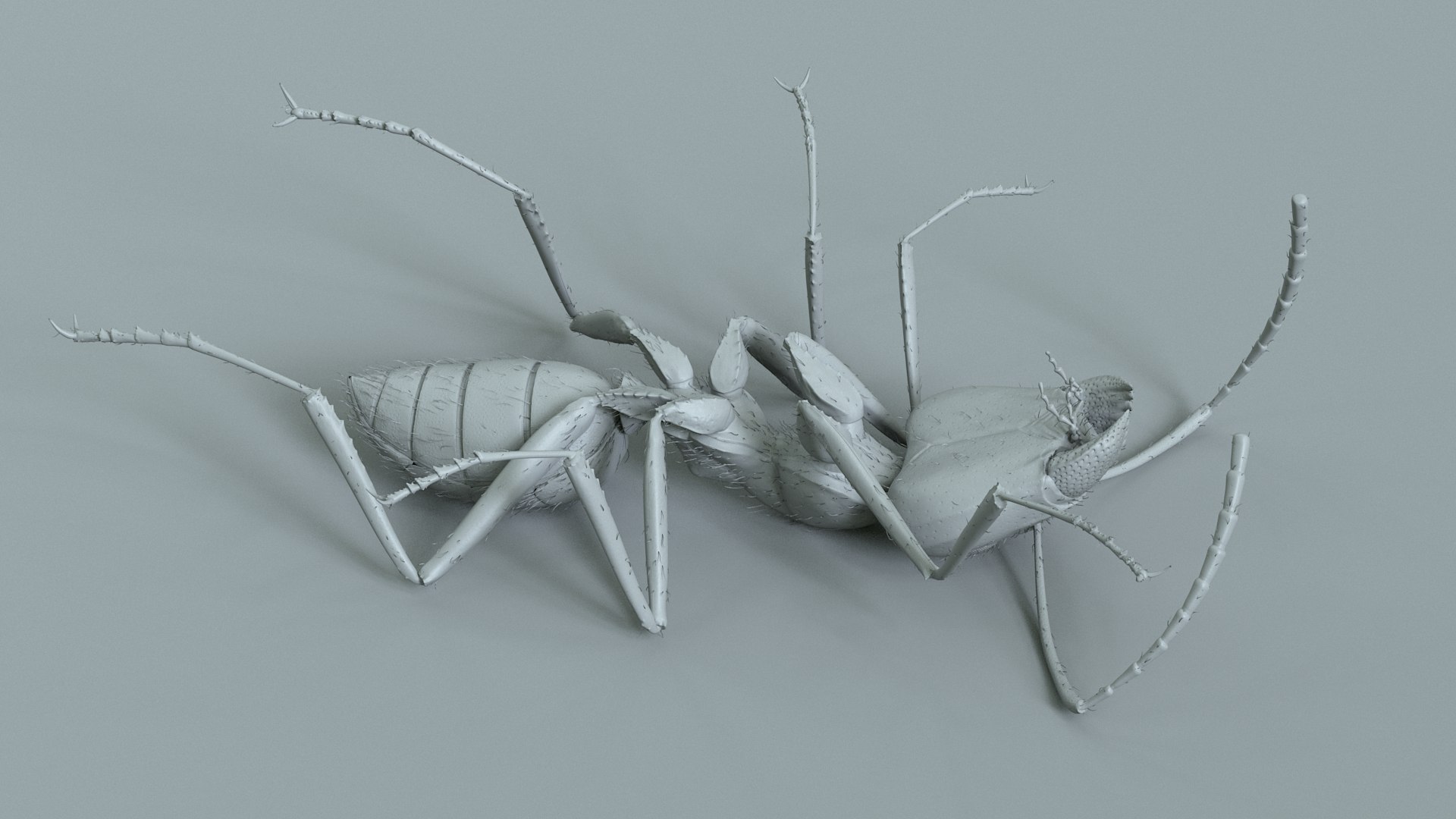 3D model Black Ant Rigged https://p.turbosquid.com/ts-thumb/o5/Ipq2fj/xX/ant_black_rigged_20/jpg/1714650773/1920x1080/fit_q87/fa166b87e6bc4d77ffbc4bfd3c42ef151291747c/ant_black_rigged_20.jpg