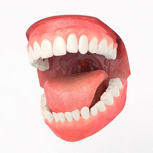 aaamouth mouth teeth 3d model