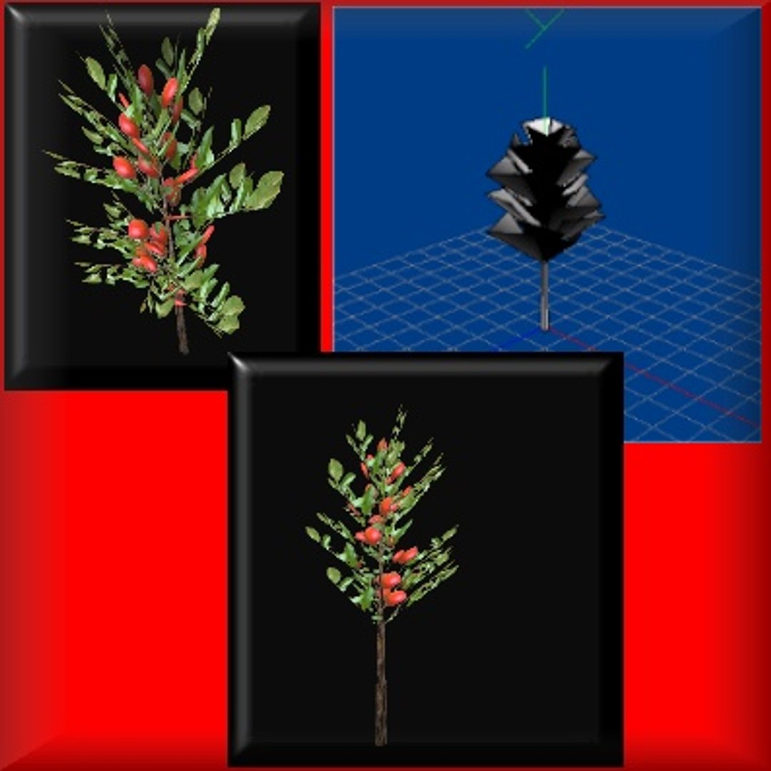 3d Apple Tree Model