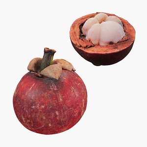 3D Mangosteen