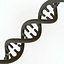 Dna