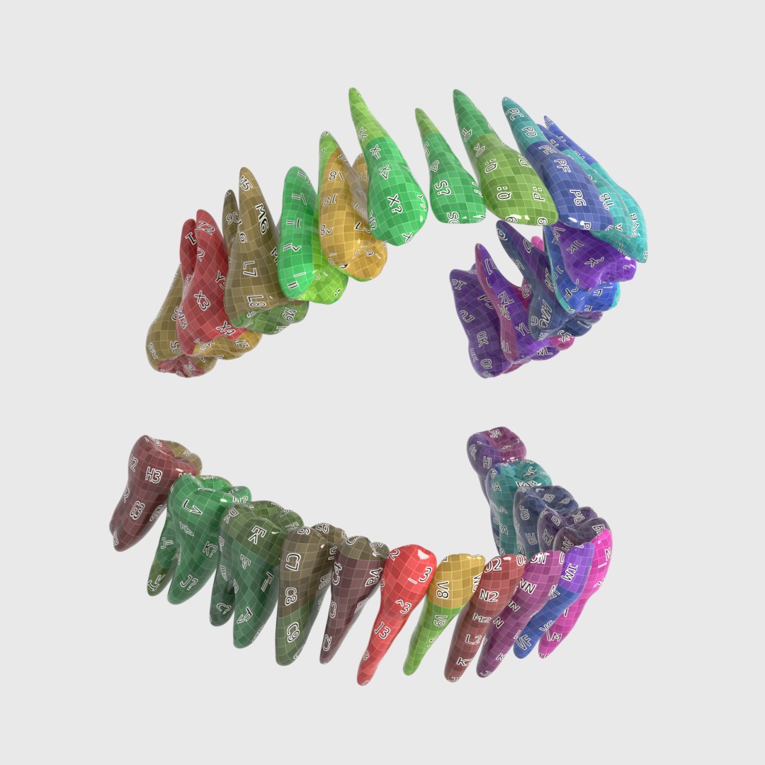 human teeth model https://p.turbosquid.com/ts-thumb/o5/XkSNMQ/6g6FOsZB/r17/png/1522173019/1920x1080/fit_q87/cb5c6189bb0a14575444fe067cb4a95297263904/r17.jpg