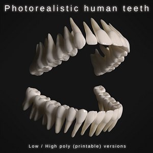 Photorealistic human teeth