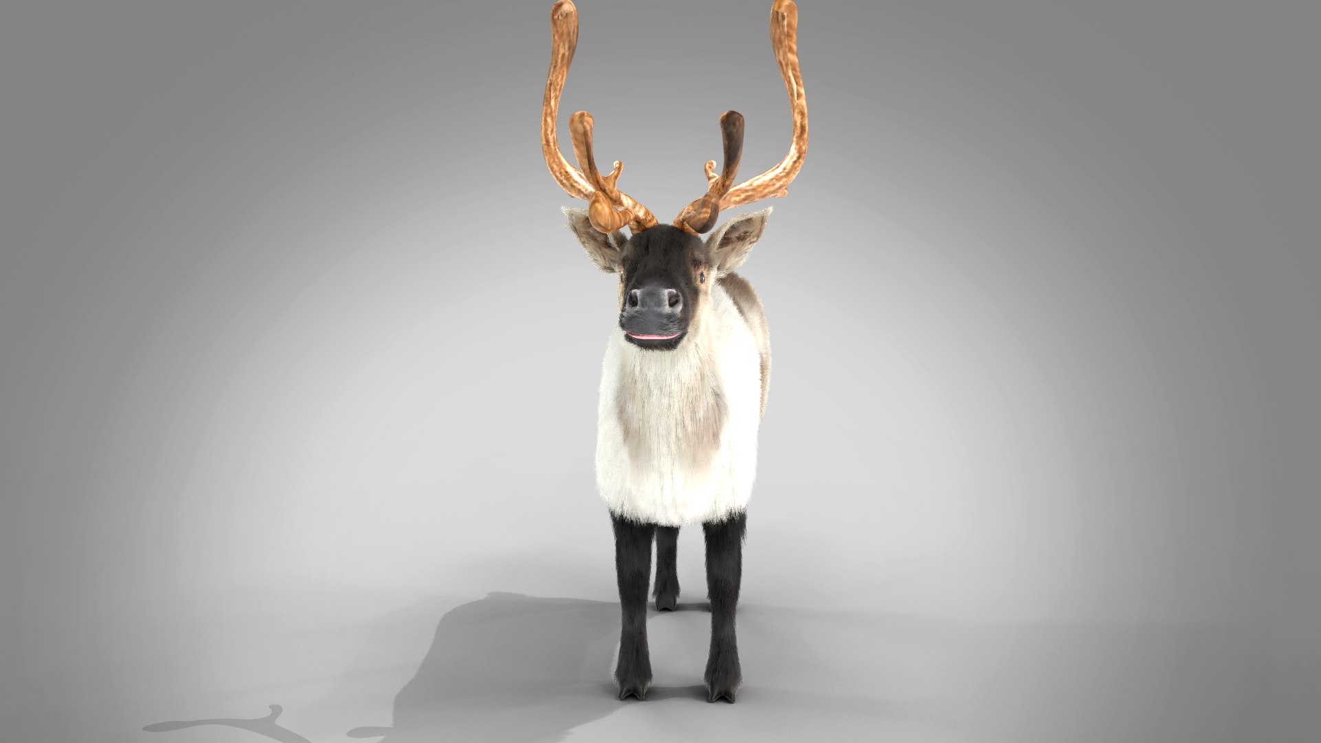 FurReindeer NO Rig model https://p.turbosquid.com/ts-thumb/o5/bahfGm/Sn/pose04/png/1622517647/1920x1080/fit_q87/6a2c65d6cd97ad0e5af84ed02044a4c3fe68bb37/pose04.jpg