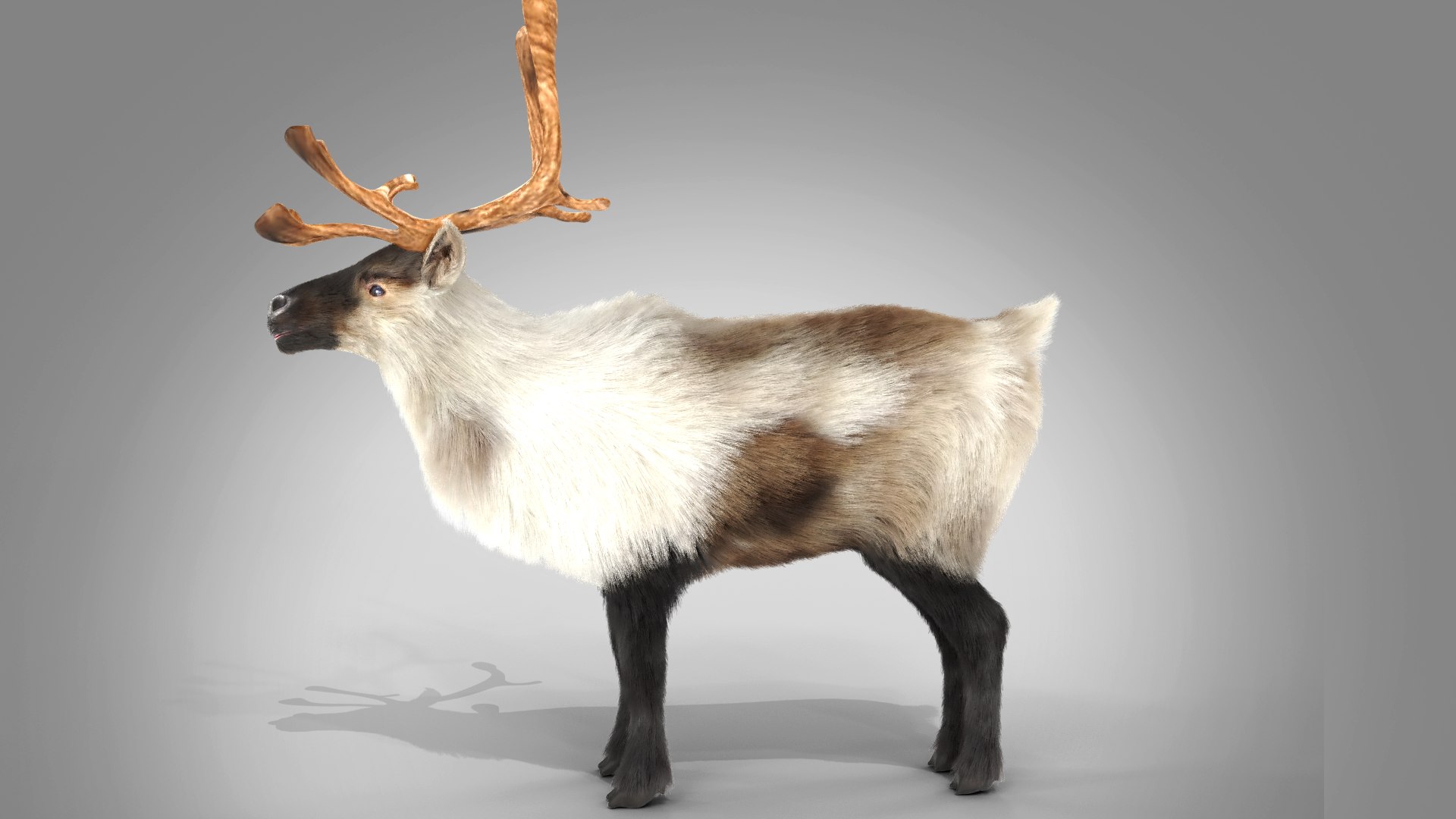 FurReindeer NO Rig model https://p.turbosquid.com/ts-thumb/o5/bahfGm/wg/pose05/png/1622517649/1920x1080/fit_q87/03dd34a86bc50965c1c3c7382d1fce77b8b0b9b9/pose05.jpg